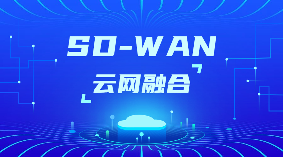 SD-WAN組網支持的方式