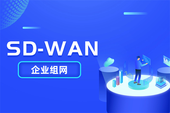 海外sdwan組網(wǎng)適用于哪些企業(yè)