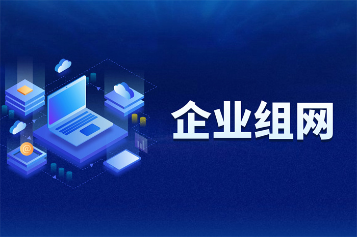 企業(yè)集團(tuán)怎么組網(wǎng),