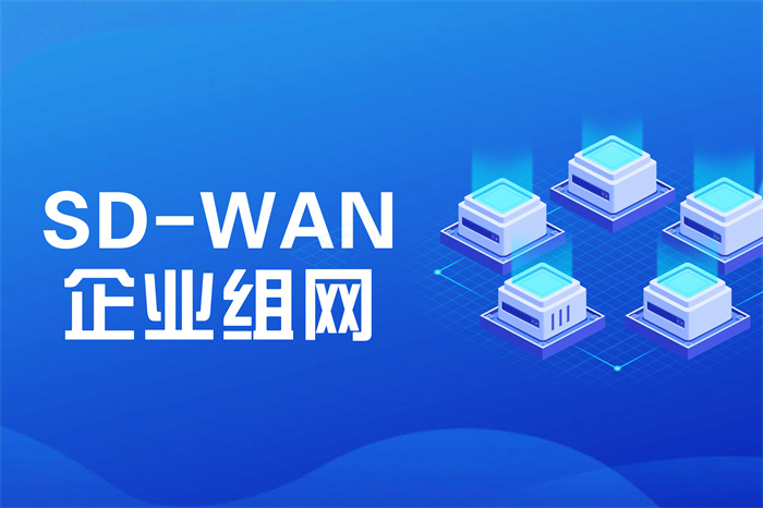 企業(yè)組網(wǎng)sdwan費(fèi)用