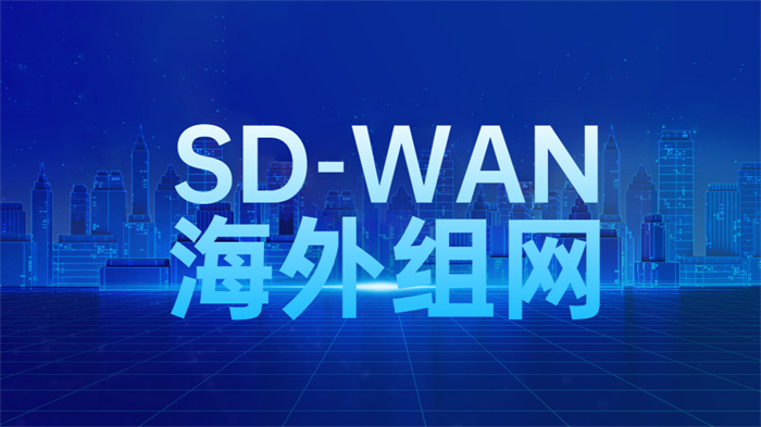 SD-WAN全球組網方案