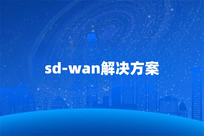 sd-wan解決方案