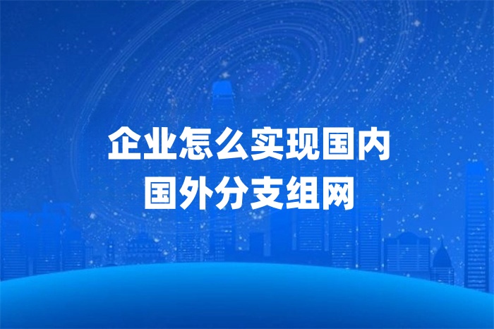 企業怎么實現國內國外分支組網