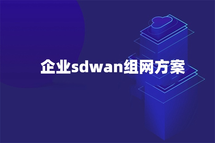 企業sdwan組網方案