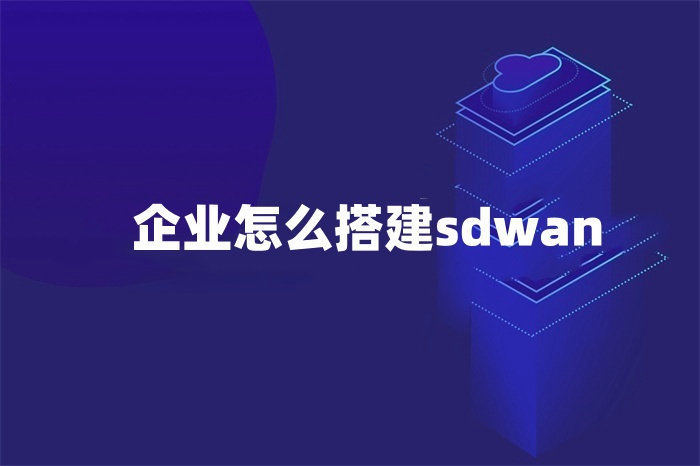 企業(yè)怎么搭建sdwan