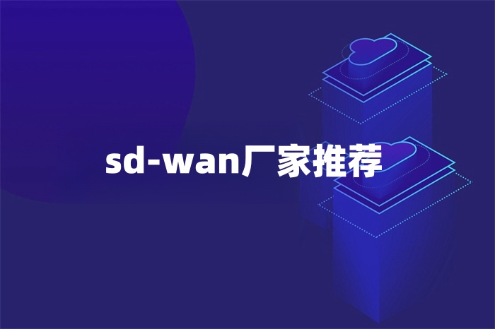 sd-wan廠家推薦