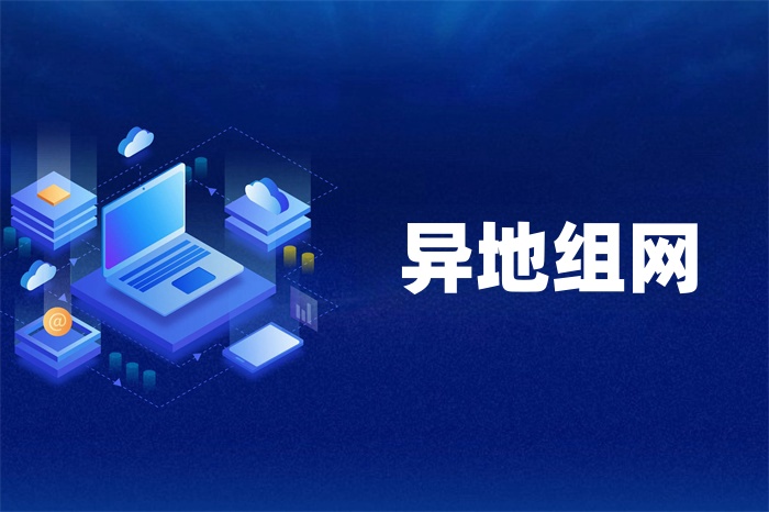 企業異地組網的解決方案