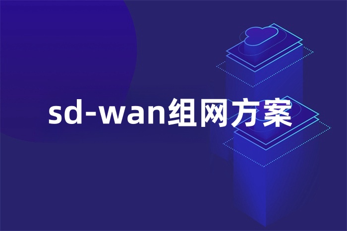 sd-wan組網(wǎng)方案