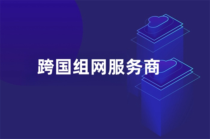 跨國(guó)組網(wǎng)服務(wù)商