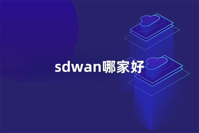sdwan哪家好