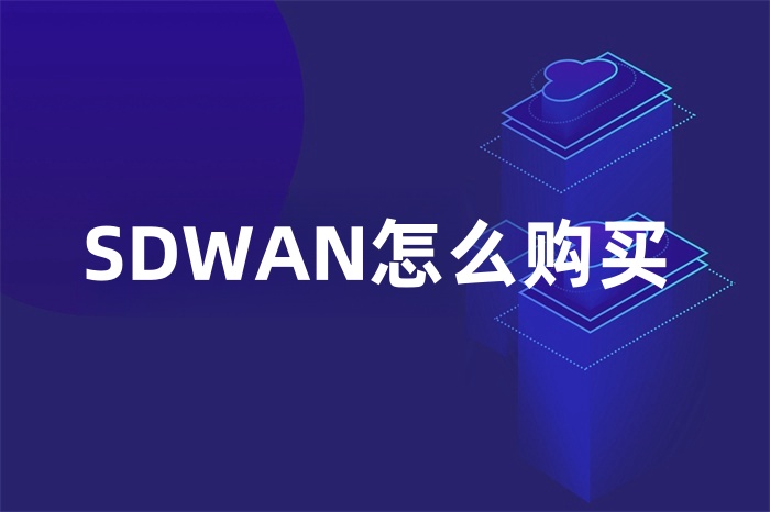 SDWAN購買