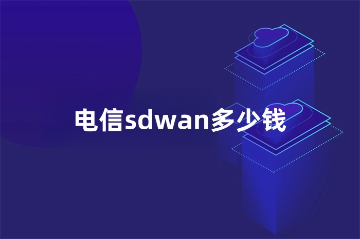 電信sdwan多少錢