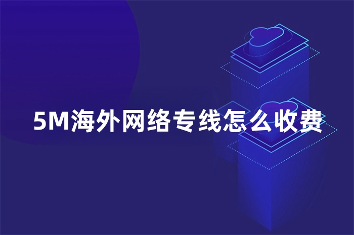 5M海外網絡專線怎么收費