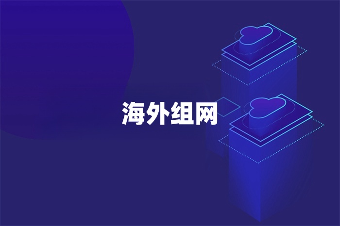 海外組網