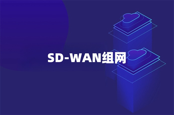 SD-WAN組網