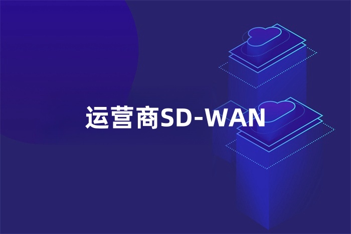 運營商SD-WAN