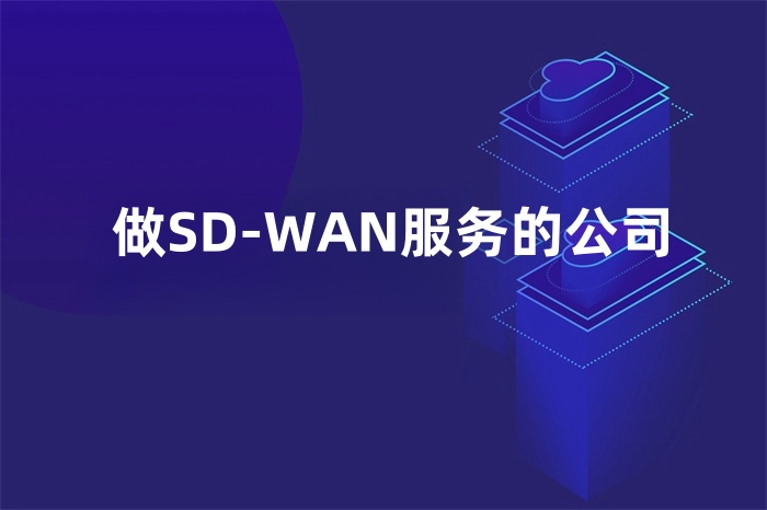 做SD-WAN服務的公司