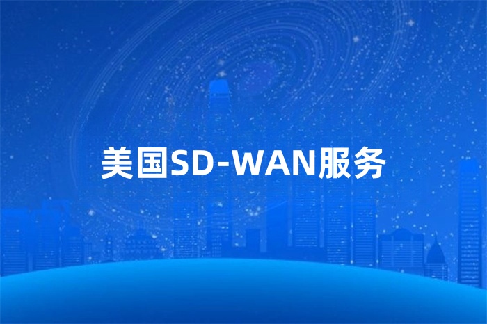 美國SD-WAN服務