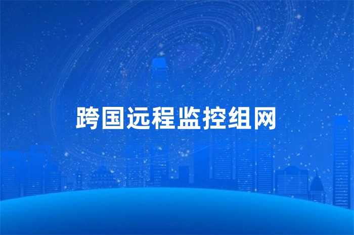 跨國遠程監控組網