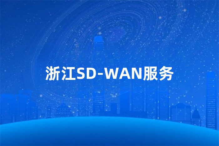 浙江SD-WAN服務